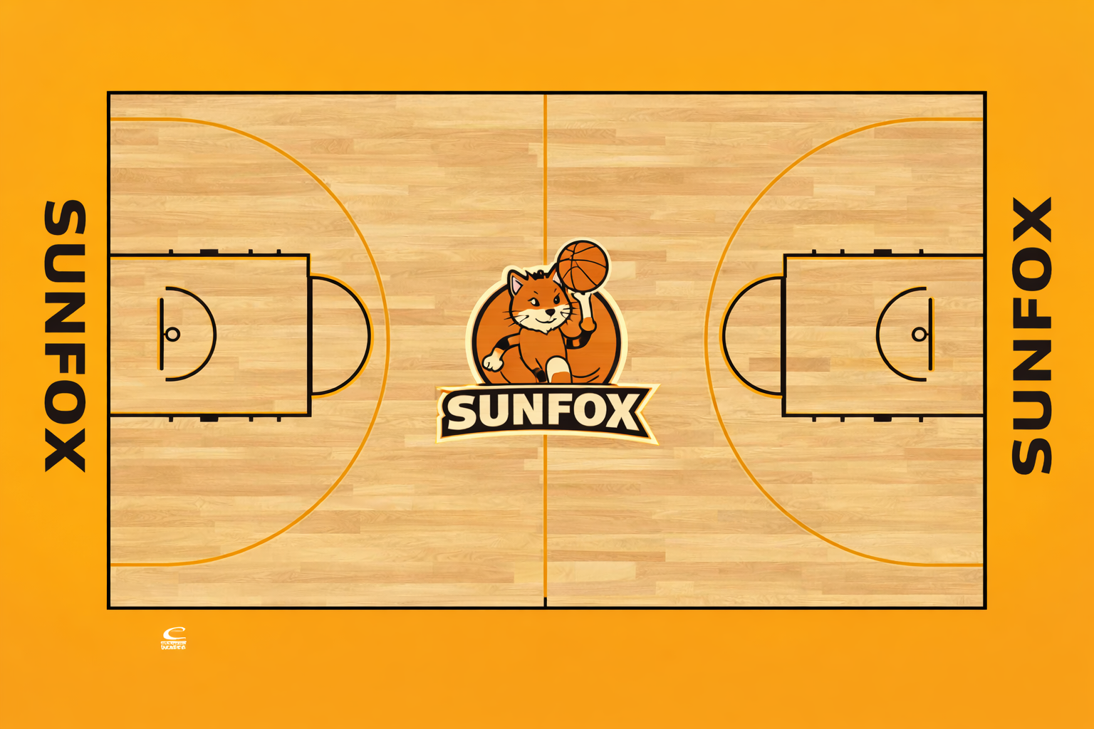 標(biāo)準(zhǔn)顏色分區(qū)運動球場效果圖